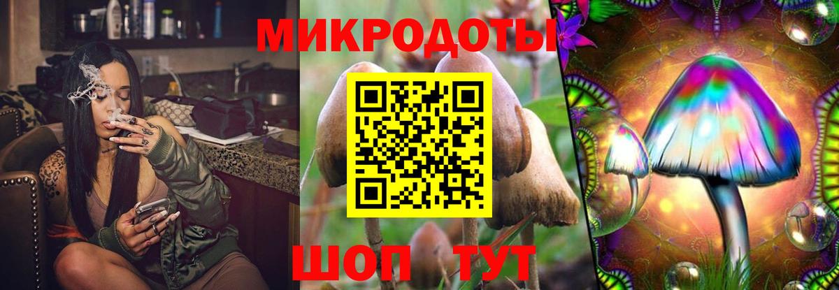 Галлюциногенные грибы Psilocybine cubensis  Вход с VPN  Анжеро-Судженск 